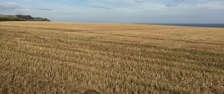 Our Fitness Blender Backdrop