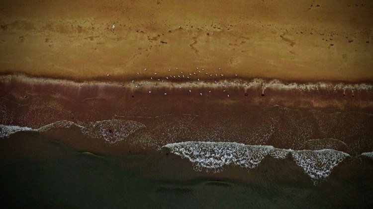 39001829_2110829065850135_2032512518856900608_n